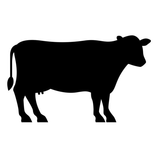 Kalbsrippen / Costine di vitello / 1 kg