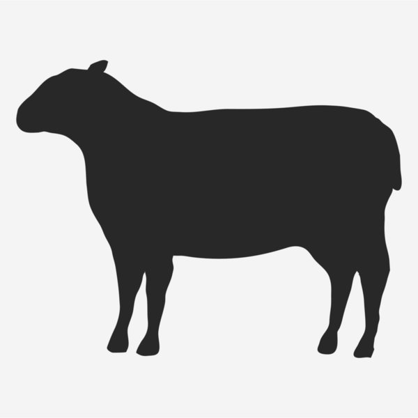 Lammhalsknochen / Osso del collo d'agnello / 1 kg